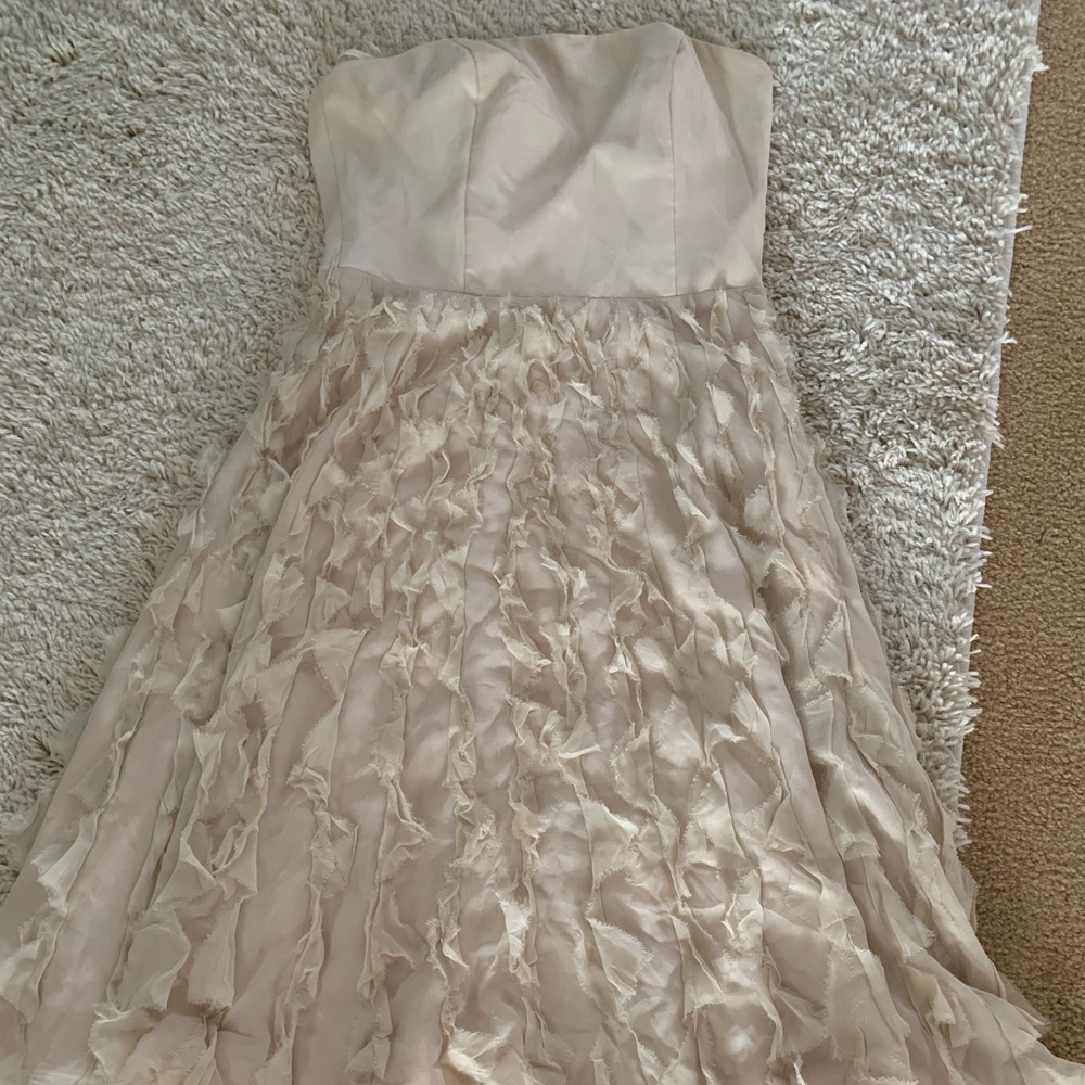 White House Black Market Beige Dress